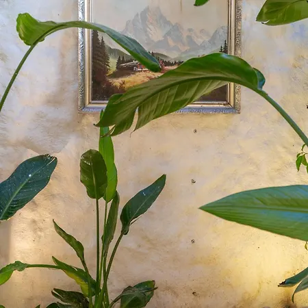 Mediha Hanim Konagi Alacati Homestay Cesme